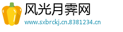 风光月霁网